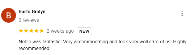 Google Review 9